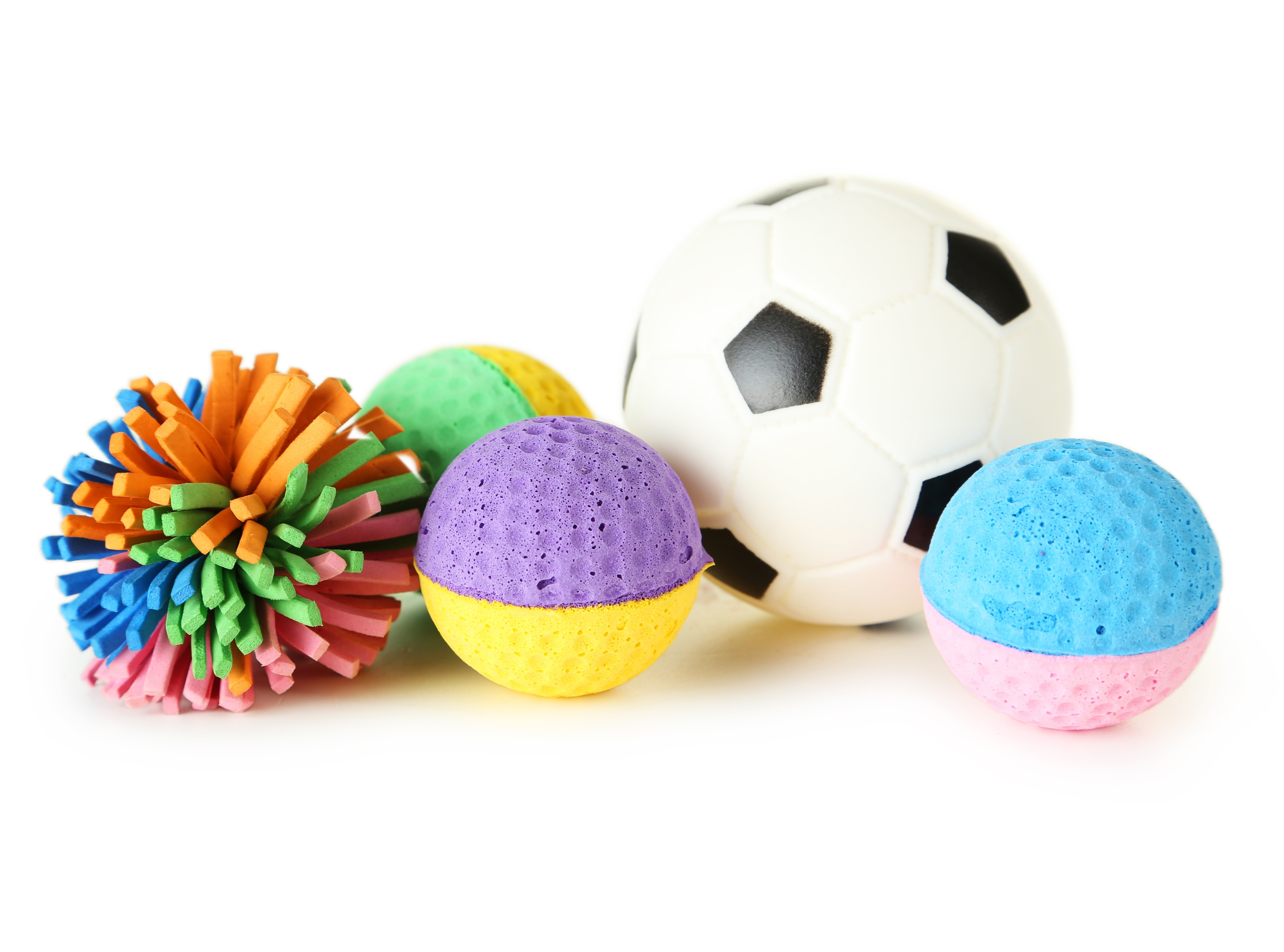 Interactive Pet Toys